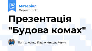 Презентація "Будова комах"