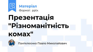 Презентація "Різноманітність комах"