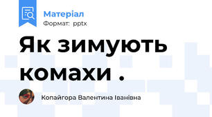 Як зимують комахи .