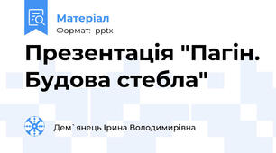 Презентація "Пагін. Будова стебла"