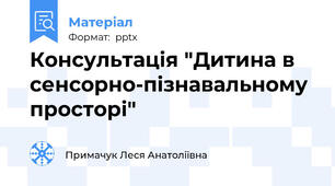 Консультація "Дитина в сенсорно-пізнавальному просторі"
