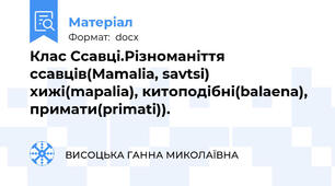 Клас Ссавці.Різноманіття ссавців(Mamalia, savtsi) хижі(mapalia), китоподібні(balaena), примати(primati)).