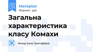 Загальна характеристика класу Комахи