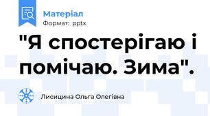 "Я спостерігаю і помічаю. Зима".