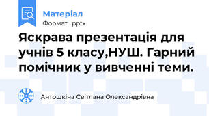Яскрава презентація для учнів 5 класу,НУШ. Гарний помічник у вивченні теми.