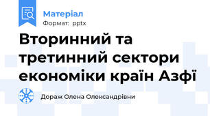 Вторинний та третинний сектори економіки країн Азфї