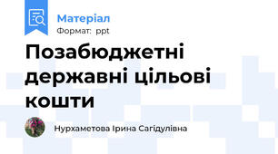 Позабюджетні державні цільові  кошти
