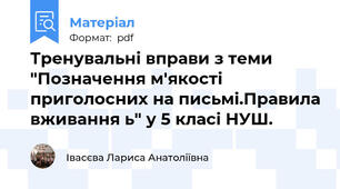Тренувальні вправи з теми "Позначення м'якості приголосних на письмі.Правила вживання ь" у 5 класі НУШ.