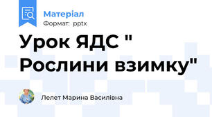 Урок ЯДС " Рослини взимку"