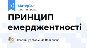 ПРИНЦИП емерджентності