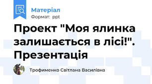 Проект "Моя ялинка залишається в лісі!". Презентація