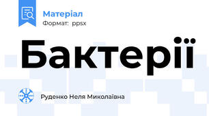 Бактерії