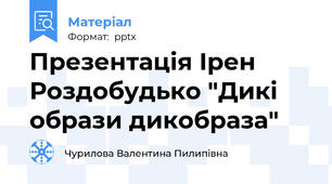 Презентація Ірен Роздобудько "Дикі образи дикобраза"