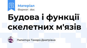 Будова і функції скелетних м'язів