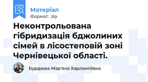 Неконтрольована гібридизація бджолиних сімей в лісостеповій зоні Чернівецької області.