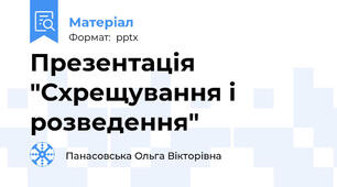 Презентація "Схрещування і розведення"