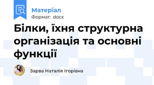 Білки, їхня структурна організація та основні функції