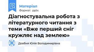Діагностувальна робота з літературного читання з теми «Вже перший сніг кружляє над землею»