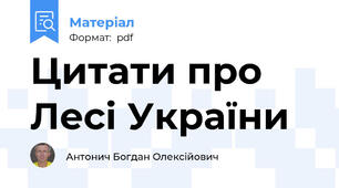 Цитати про Лесі України