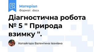 Діагностична робота № 5 '' Природа взимку ''.