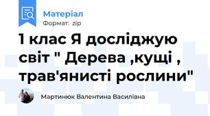 1 клас Я досліджую світ " Дерева ,кущі , трав'янисті рослини"