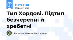 Тип Хордові. Підтип безчерепні й хребетні
