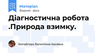 Діагностична робота .Природа взимку.