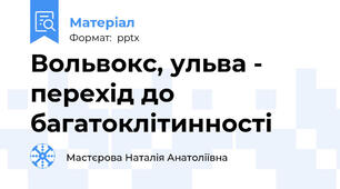 Вольвокс, ульва - перехід до багатоклітинності