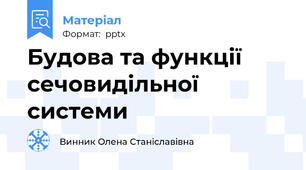 Будова та функції сечовидільної системи
