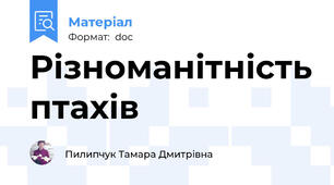 Різноманітність птахів