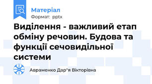 Виділення - важливий етап обміну речовин. Будова та функції сечовидільної системи