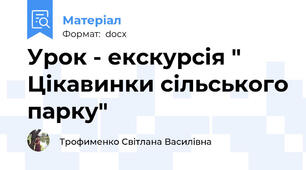Урок - екскурсія " Цікавинки сільського парку"