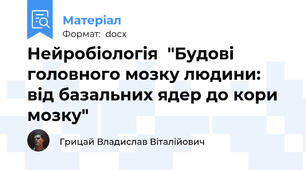 Нейробіологія  "Будові головного мозку людини: від базальних ядер до кори мозку"