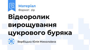 Відеоролик вирощування цукрового буряка