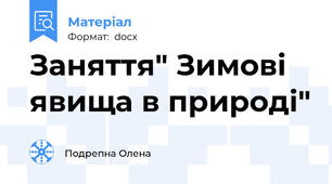 Заняття" Зимові явища в природі"