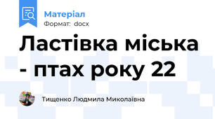 Ластівка міська - птах року 22