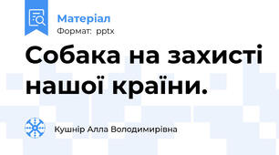 Собака на захисті нашої країни.