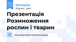 Презентація Розмноження рослин і тварин