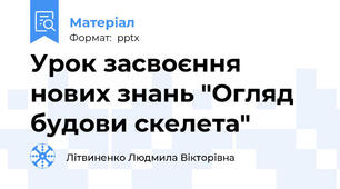 Урок засвоєння нових знань "Огляд будови скелета"