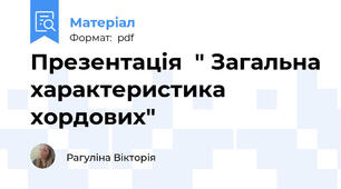 Презентація  " Загальна характеристика хордових"