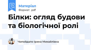 Білки: огляд будови та біологічної ролі