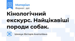 Кінологічний екскурс. Найцікавіші породи собак.