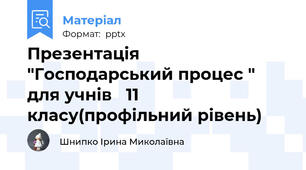 Презентація  "Господарський процес " для учнів   11 класу(профільний рівень)