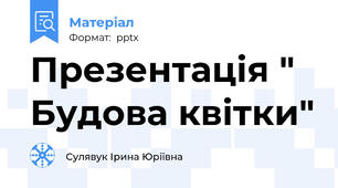 Презентація " Будова квітки"