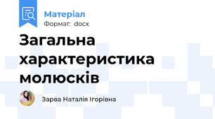 Загальна характеристика молюсків