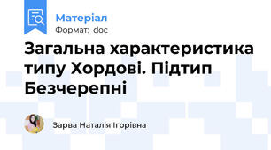Загальна характеристика типу Хордові. Підтип Безчерепні