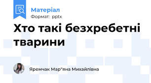 Хто такі безхребетні тварини