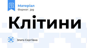 Клітини