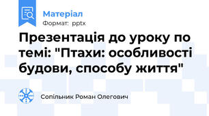 Презентація до уроку по темі: "Птахи: особливості будови, способу життя"