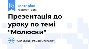 Презентація до уроку по темі "Молюски"